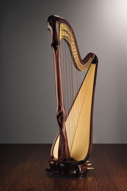 Harfenunterricht - Musik - Düsseldorf