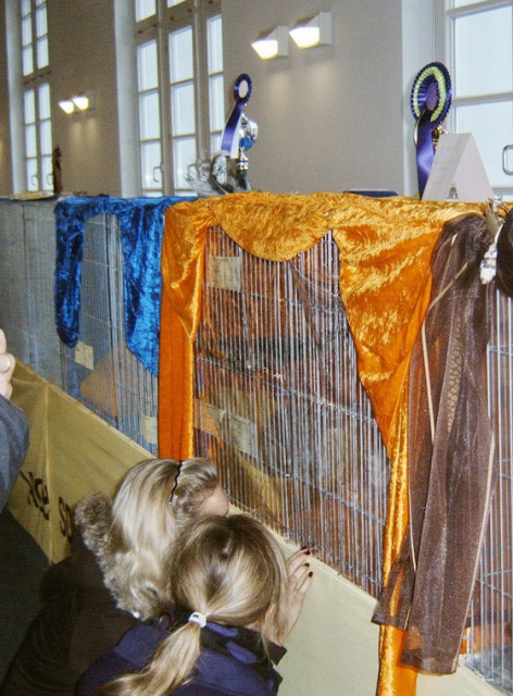 Käfigdeko für Ausstellungen - Tiere - Trostberg