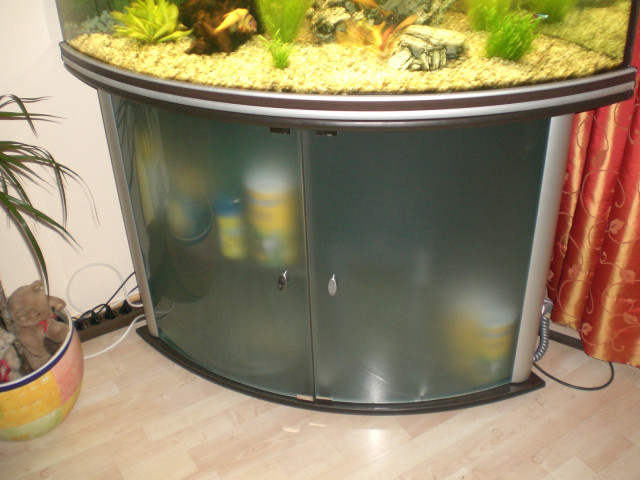Grosses Eck/Aquarium - Tiere - vaterstetten