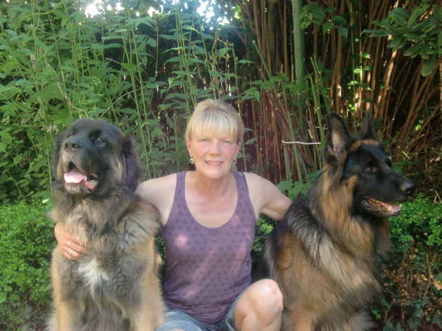Tiefenentspannung und innere Balance durch Reiki - Wellness Gesundheit - Münster