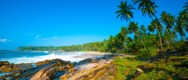 Ayurvedareisen nach Indien und Sri Lanka - Urlaub Reise - Ludwigshafen