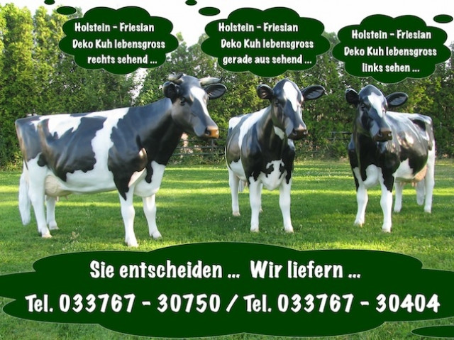 Holstein - Friesian Deko Kuh lebensgross - Recht -  Links - oder Geradeaus sehen - Ferienwohnung Haus - Heidesee / OT Dolgenbrodt