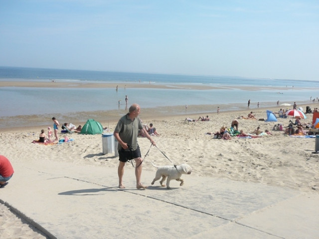 Ferienhaus Renesse Holland UrlauB mit Hund - Urlaub Reise - Renesse