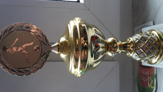 Testspielgegner und Hallenturniere - Sport - Berlin