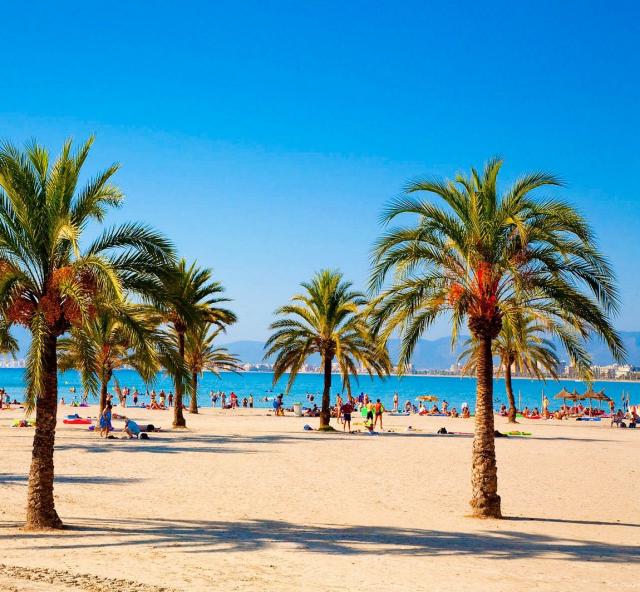 PROMOTION-Job auf MALLORCA - Kommunikation - Palma de Mallorca