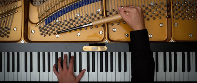 Piano-, Akkordeonstimmer/ Restaurator - Musik - Wolmirstedt