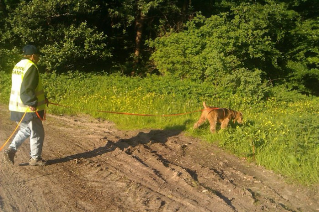 Schnupper Kurs in Mantrailing für Anfänger. - Tiere - Hummelfeld