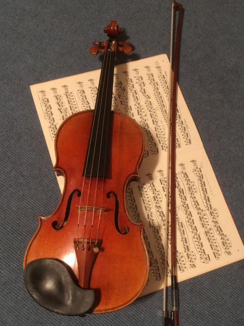 Violinunterricht professionell und individuell - Musik - Bamberg 