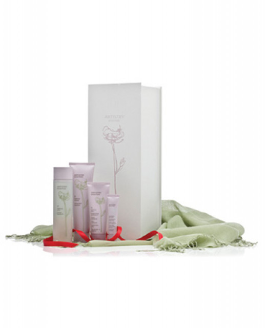 ARTISTRY  essentials Geschenkbox mit GRATIS Pashmina-Schal   Ausgleichend - Wellness Gesundheit - Lübben