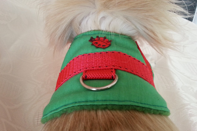 Softgeschirre - Tiere - Burkhardtsdorf