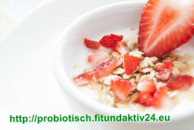 PROBIOTISCHER YOGHURT - mehr als nur ein Lebensmittel - Wellness Gesundheit - Chemnitz