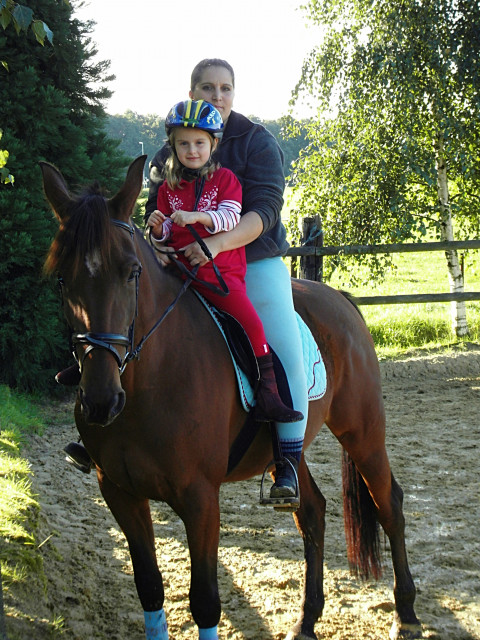 Liebe stute sucht Liebe RB - Sport - Gelsenkirchen