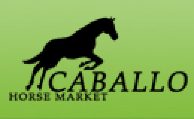 Caballo Horsemarket - Weil Wir Pferde Lieben - Tiere - Sonnefeld