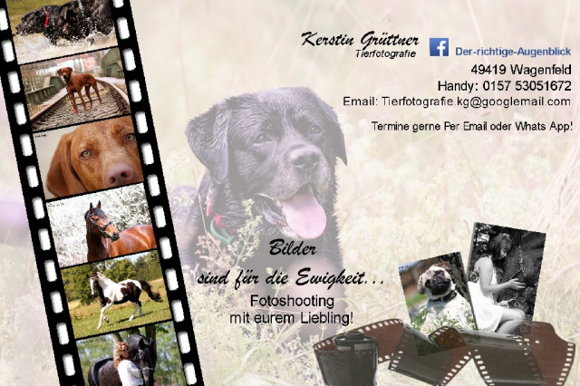 Fotoshooting - Schöne Erinnerungsbilder von Eurem Tier  - Tiere - Wagenfeld