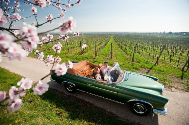 Oldtimervermietung Lörrach - Oldtimer mieten als Hochzeitsauto - Vermietungen - Rheinstetten