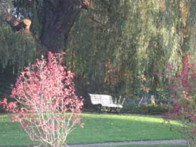Mit Urvertrauen in Glück und Liebe leben! - Lernen Lehren Lesen - Hannover