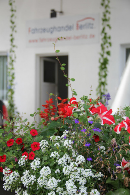 Wohnmobile und Wohnwagen gesucht - Camping - Verden